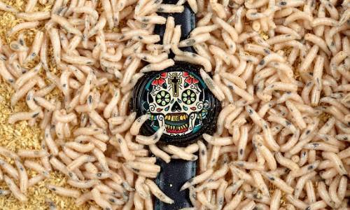 Mr Jones Watches, una marca Londinense de culto