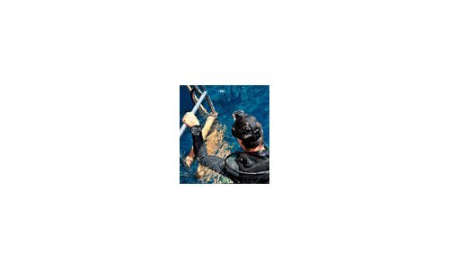 Jaeger-LeCoultre realiza una donación a las Reservas de Fernando de Noronha y Atolón das Rocas