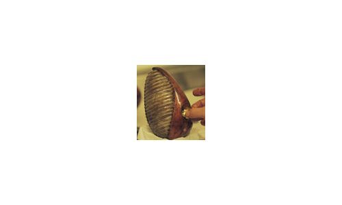 La Sorpresa de Chocolate, Única a Nivel Mundial de Shawish 