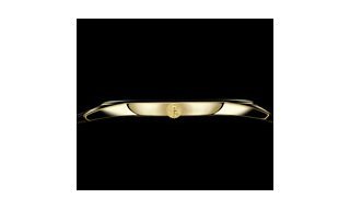 Especial SIHH & GenevaVacheron Constantin
