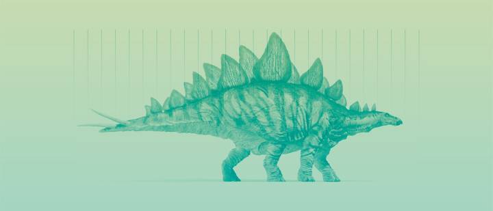 Para un estegosaurio que vivió hace 160 millones de años, un día duraba 23 horas en lugar de las 24 de hoy.