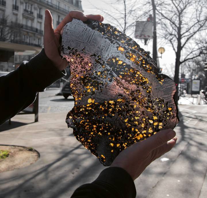 El meteorito Pallasite Seymchan: una rebanada muy grande con el patrón de Widmanstätten revelado. (Foto Buonomo & Cometti)