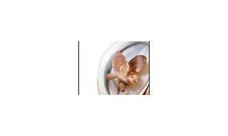 Nuevos Accesorios Jaquet Droz